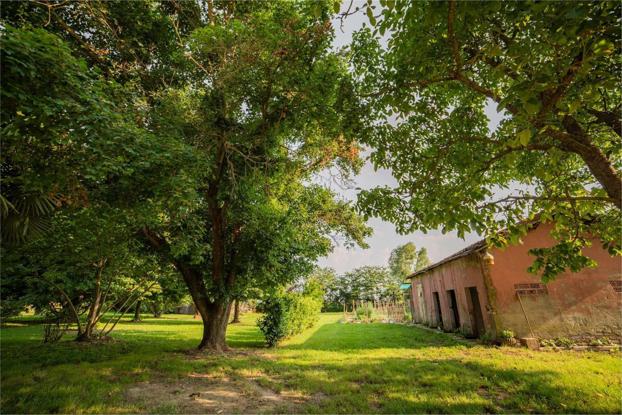Tenuta Ca' Zen Taglio di Po Zewnętrze zdjęcie